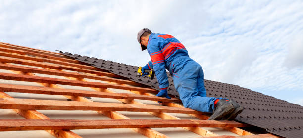 Best Roof Installation  in Zumbrota, MN